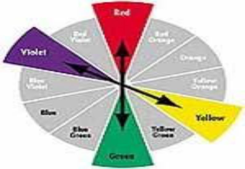 Một số ví dụ về cặp màu tương phản trong thiết kế nội thất