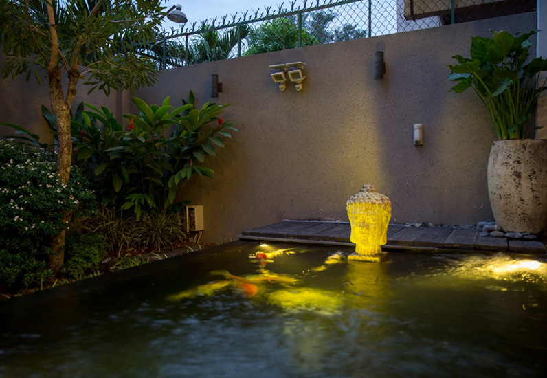 Thiết kế tiểu cảnh hồ cá koi đẹp mắt và ấn tượng